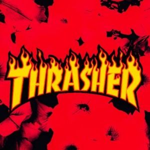 Meet your Posher, Kyler